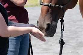 LR-WRF 08022025-Retreat-3156